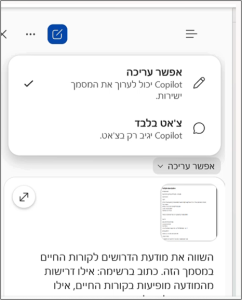 בחירת צאט בחלון קופיילוט